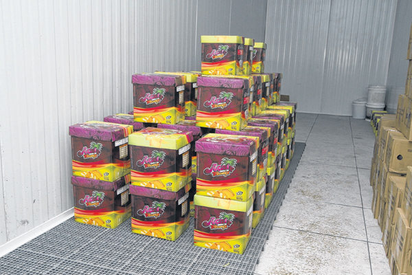 Caixa para Açaí 3