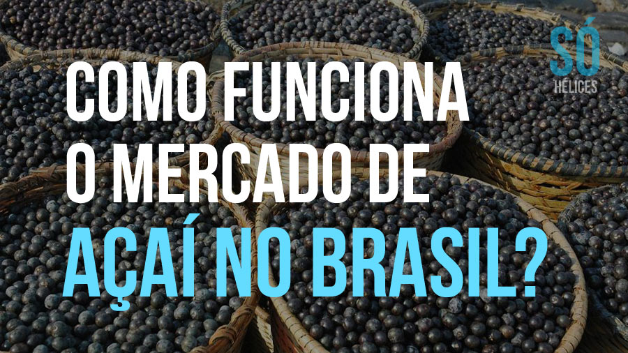 Como funciona o mercado de açaí?