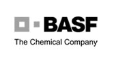 Basf Pigmentos