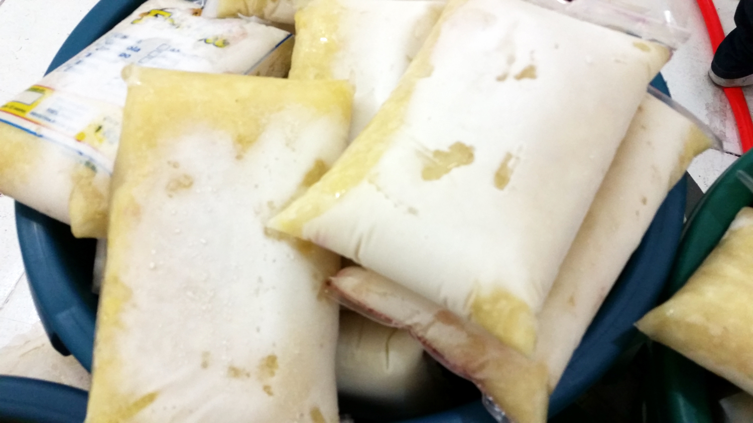 Cupuaçu em barras congeladas de 2 quilos.