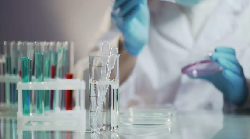 Terceirização de cosméticos em belo horizonte