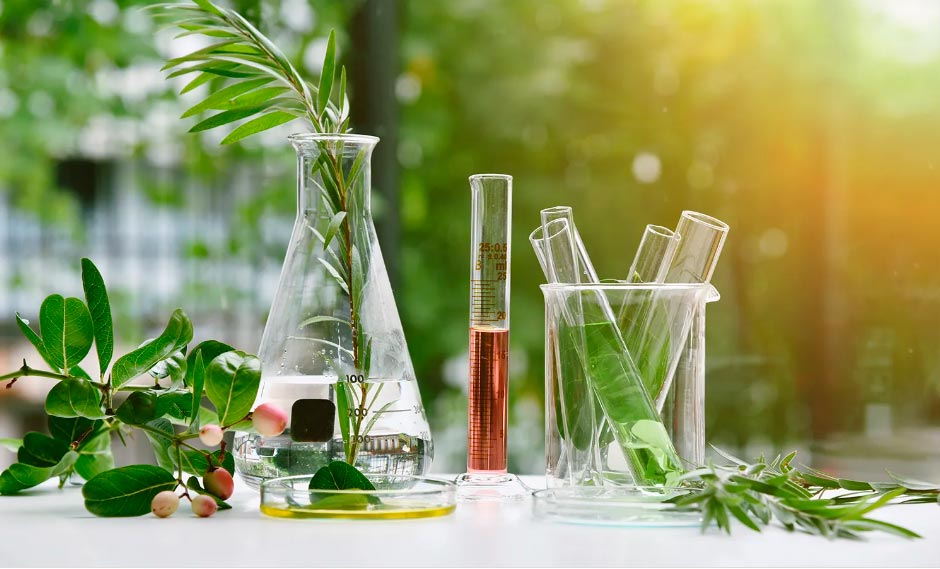 Cosméticos veganos marcas brasileiras mais respeitadas